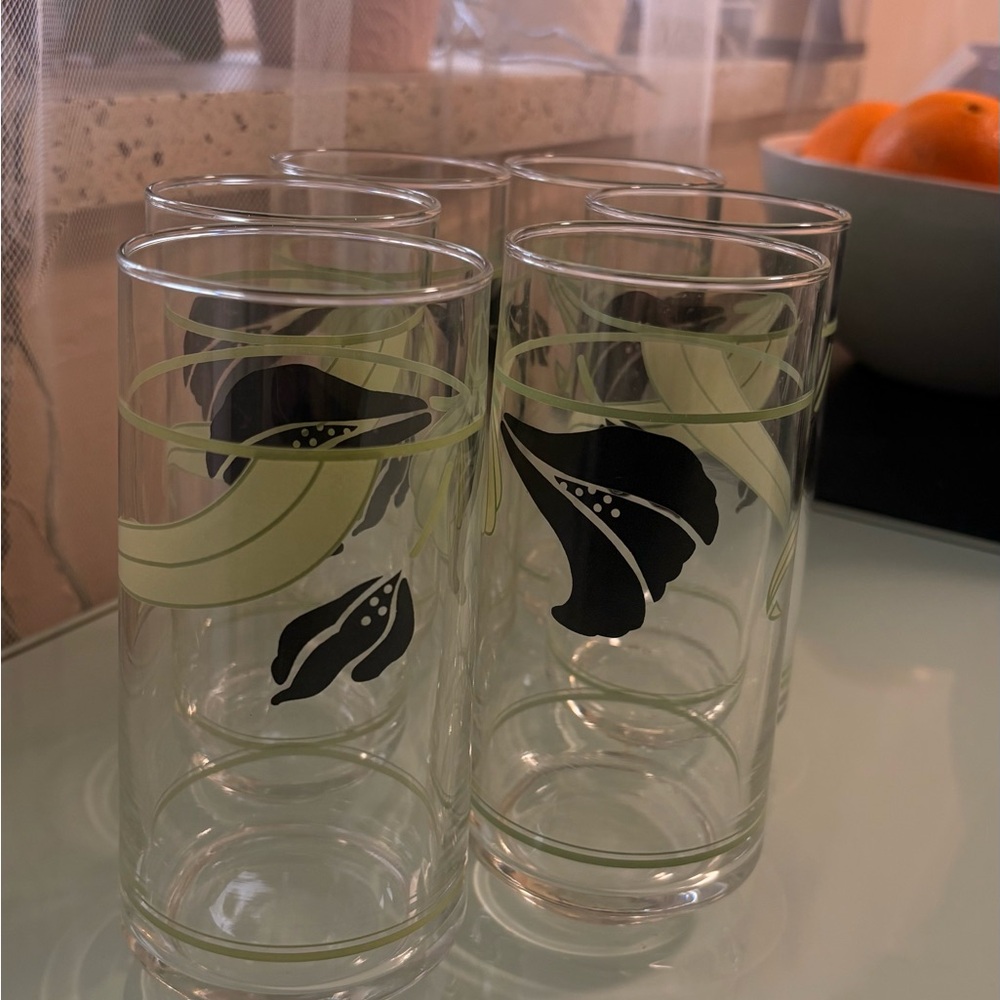 6 Vintage Floral Glass Tumbler Set - Corelle “Black Orchid”